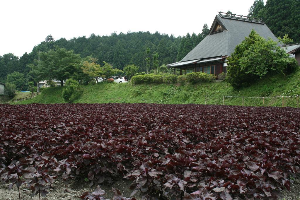 Hotel Yumoto Onsen Oharasansou Kyōto Esterno foto