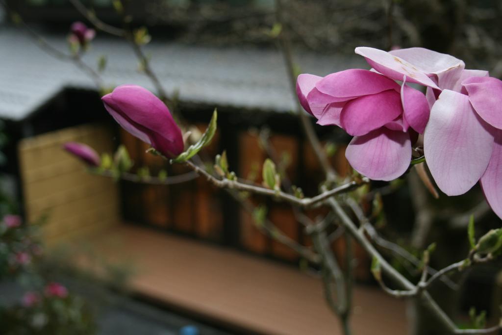 Hotel Yumoto Onsen Oharasansou Kyōto Esterno foto